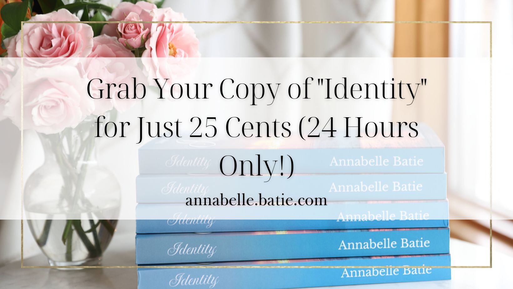 Grab Your Copy of “Identity” for Just 99 Cents (24 Hours Only!) + Giveaway