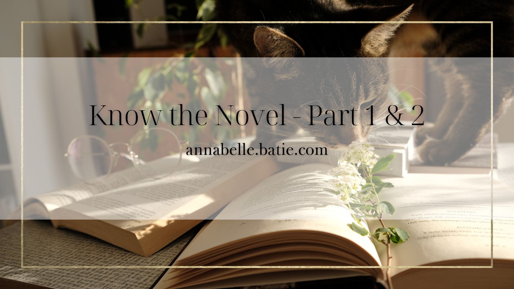 Know the Novel: Part 1 & 2